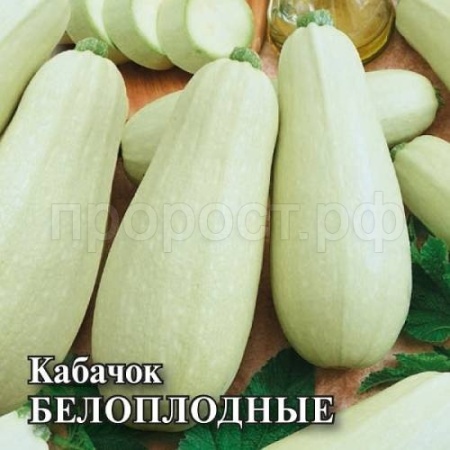 Кабачок Белоплодные 25 г