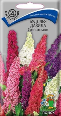 Буддлея Давида Смесь окрасок 10шт
